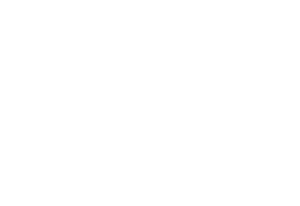 Hammer Boss